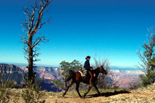 USA-Arizona-Geronimo Trail to the Grand Canyon
